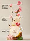 Nến 1 Bấc  Japanese Cherry Blossom Single Wick Candle image number null