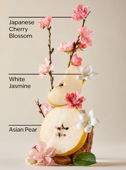 Nến 1 Bấc  Japanese Cherry Blossom Single Wick Candle image number null