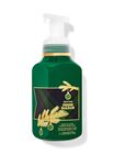 Fresh Balsam Gentle & Clean Foaming Hand Soap image number null