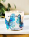 Nến 3 Bấc Blue Orchard Skies 3-Wick Candle image number null