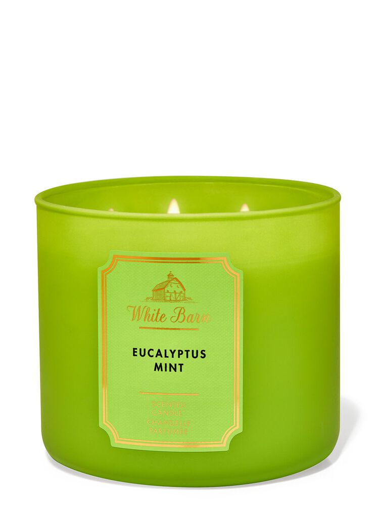 Nến 3 Bấc Eucalyptus Mint 3-Wick Candle Nến 3 Bấc