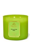 Nến 3 Bấc Eucalyptus Mint 3-Wick Candle image number null