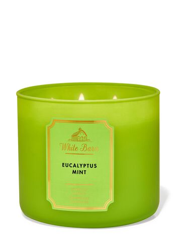 Nến 3 Bấc Eucalyptus Mint 3-Wick Candle Nến 3 Bấc