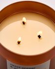 Sweet Orange & Agave 3-Wick Candle image number null