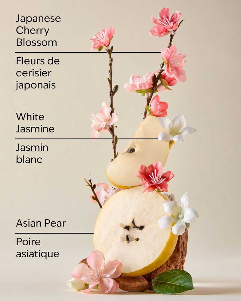Bộ Qu&agrave; Tặng Japanese Cherry Blossom Gift Set Gift Set
