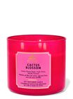 Nến 3 Bấc Cactus Blossom 3-Wick Candle image number null