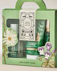 Bộ Qu&agrave; Tặng Eucalyptus Spearmint Gift Set image number null