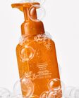 Nước Rửa Tay Tạo Bọt L&agrave;m Sạch & Dịu Nhẹ Farmhouse Pumpkin & Spice Gentle & Clean Foaming Hand Soap image number null