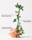 Tinh Dầu X&ocirc;ng Ph&ograve;ng Rose Water & Ivy Wallflowers Fragrance Refill image number null