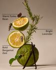 Nến 3 Bấc Lavender Bergamot 3-Wick Candle image number null