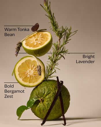 Nến 3 Bấc Lavender Bergamot 3-Wick Candle Nến 3 Bấc