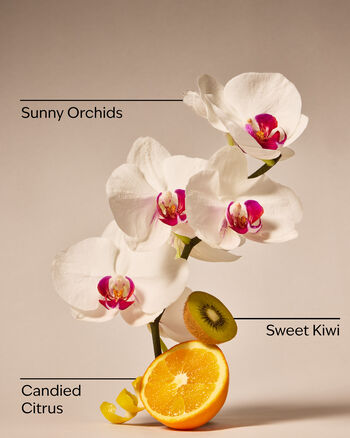 Pink Kiwi Berry 3-Wick Candle 3-Wick Candle
