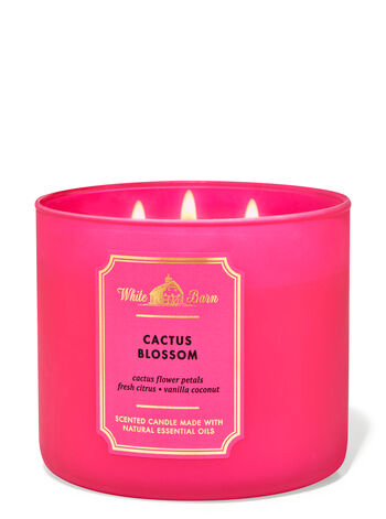 Cactus Blossom 3-Wick Candle Nến 3 tim Cactus Blossom 3-Wick Candle