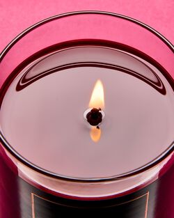 Nến 1 Bấc Nocturnal Rose Single Wick Candle image number null