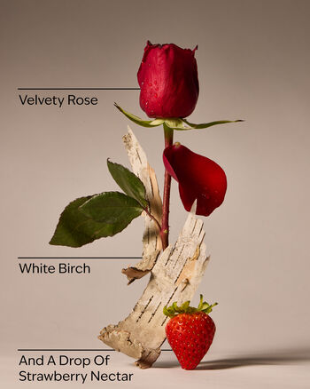 Sữa Dưỡng Thể Dưỡng Da H&agrave;ng Ng&agrave;y You're The One Daily Nourishing Body Lotion Sữa Dưỡng Thể