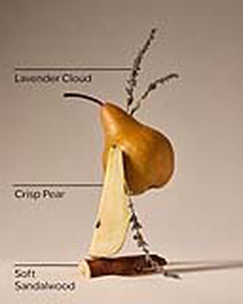 White T-Shirt Gentle & Clean Foaming Hand Soap Gentle & Clean Foaming Hand Soap