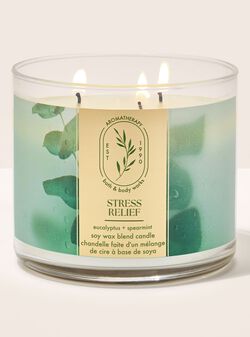 Nến 3 Bấc Eucalyptus Spearmint 3-Wick Candle image number null