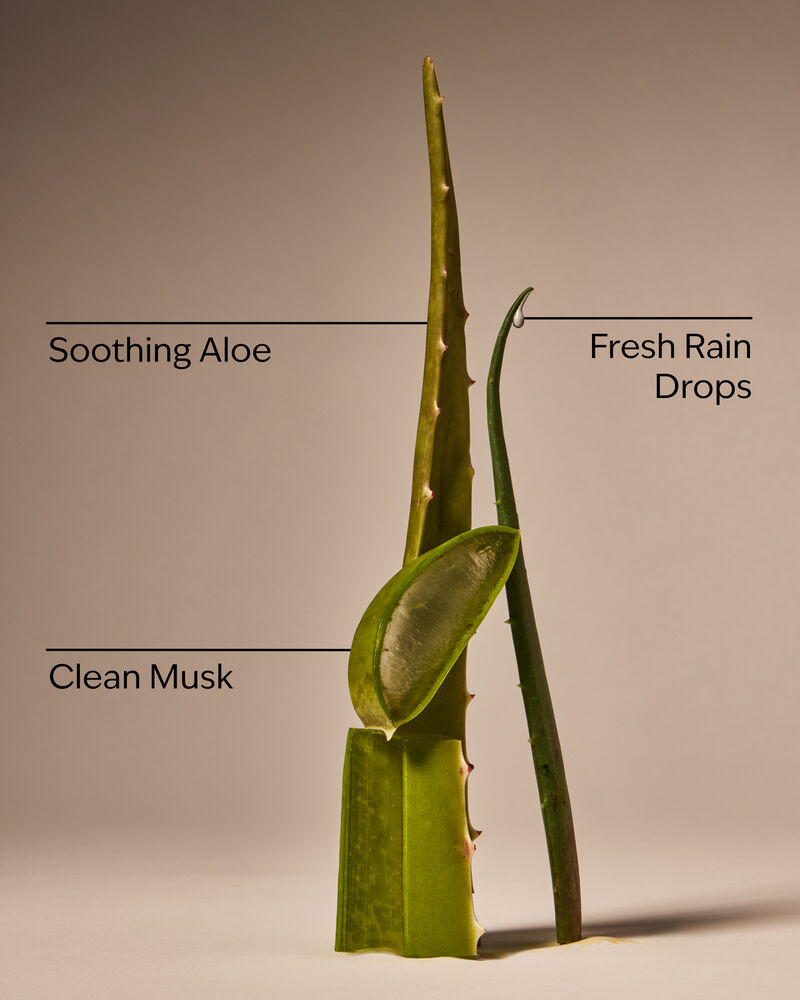 Nước Rửa Tay Dưỡng Ẩm Cool Aloe Water Daily Moisturizing Hand Soap Daily Moisturizing Hand Soap