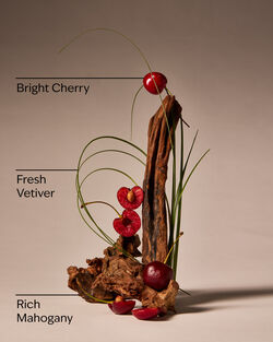 Mahogany Cherry Wallflowers Fragrance Refill image number null