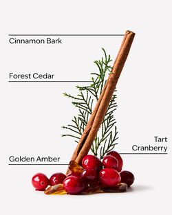 Nến 3 Bấc Cranberry Woods 3-Wick Candle image number null