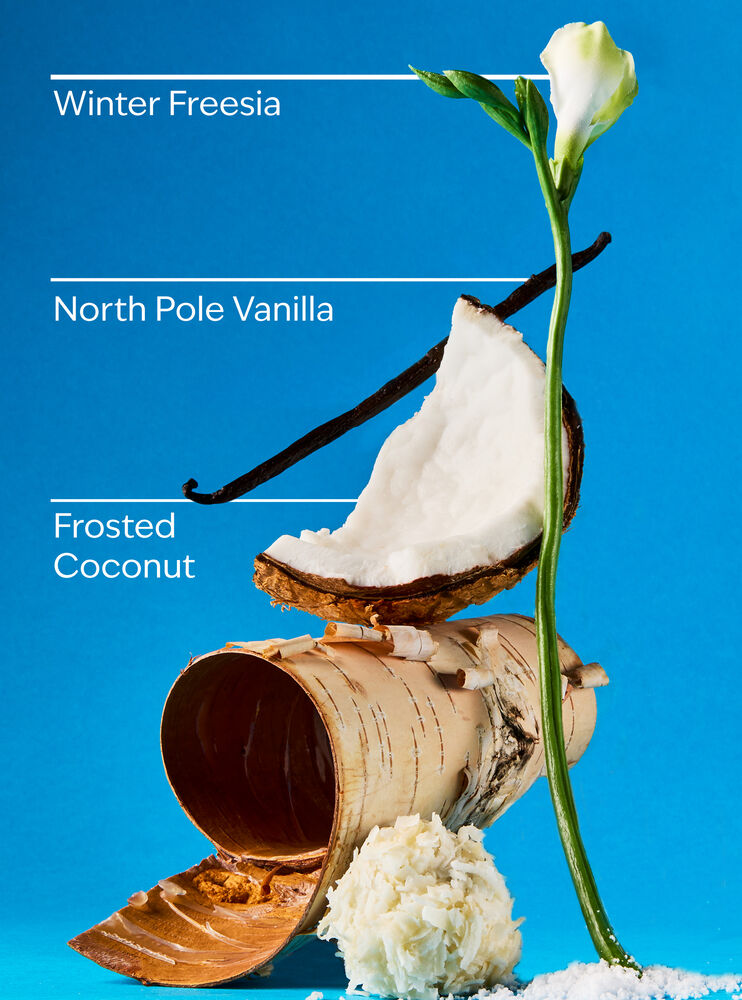 Frosted Coconut Snowball Fine Fragrance Mist Fine Fragrance Mist