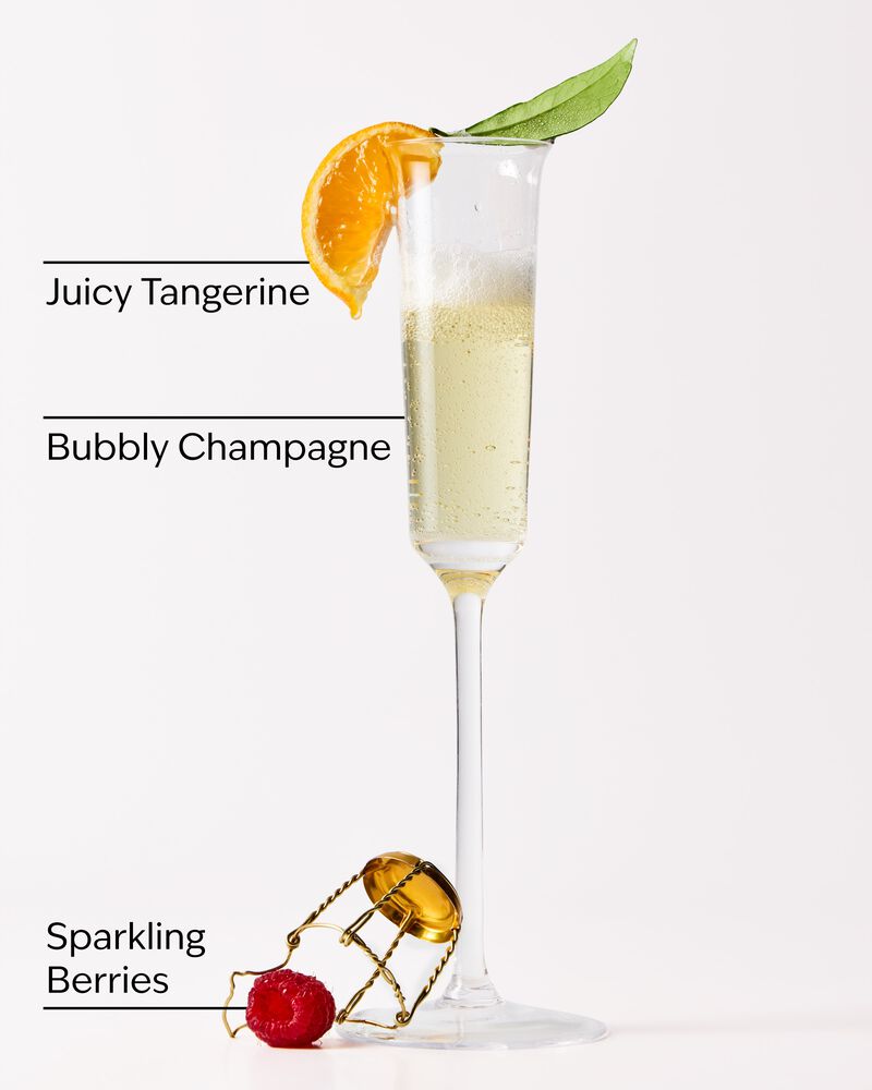 Champagne Toast Women's Travel Hair Set Women's Travel Hair Set