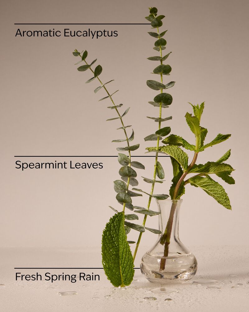 Eucalyptus Rain Concentrated Room Spray Concentrated Room Spray
