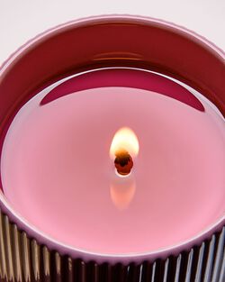 Nến 1 Bấc Lavender & Hinoki Single Wick Candle image number null