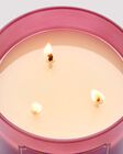 Nến 3 Bấc Pink Lilac & Vanilla 3-Wick Candle image number null