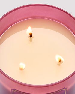Nến 3 Bấc Pink Lilac & Vanilla 3-Wick Candle image number null