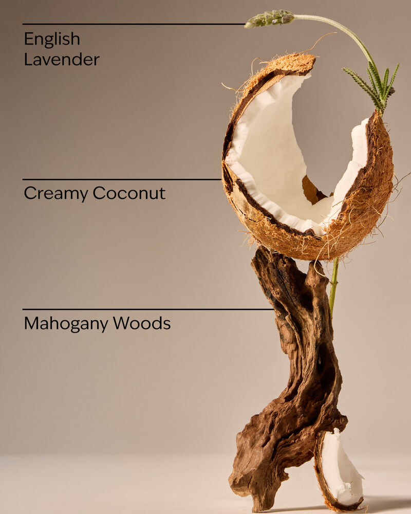 Tinh Dầu X&ocirc;ng Ph&ograve;ng Mahogany Coconut Wallflowers Fragrance Refill Tinh Dầu X&ocirc;ng Ph&ograve;ng