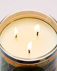 Nến 3 Bấc Sweet Kiwi & Starfruit 3-Wick Candle image number null