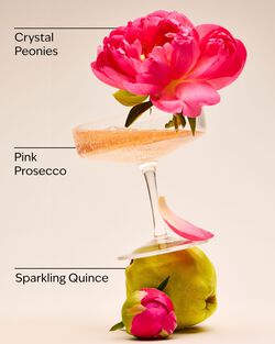 Son B&oacute;ng A Thousand Wishes Lip Gloss image number null