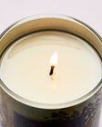 Nến 1 Bấc Fresh Cut Lilacs Single Wick Candle image number null