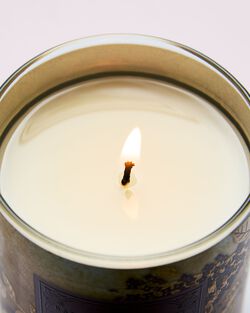 Nến 1 Bấc Fresh Cut Lilacs Single Wick Candle image number null