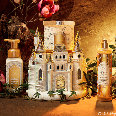 Disney Princess Collection