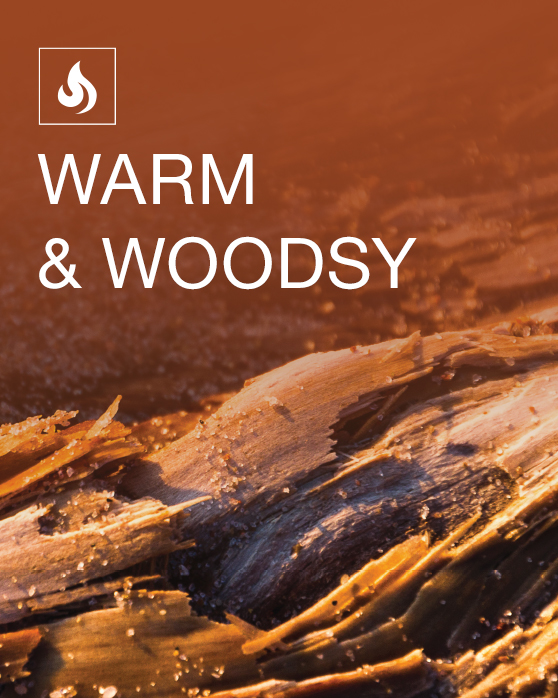 Warm & Woodsy