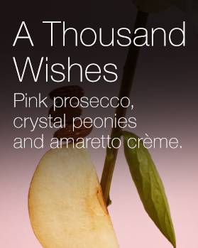 A Thousand Wishes