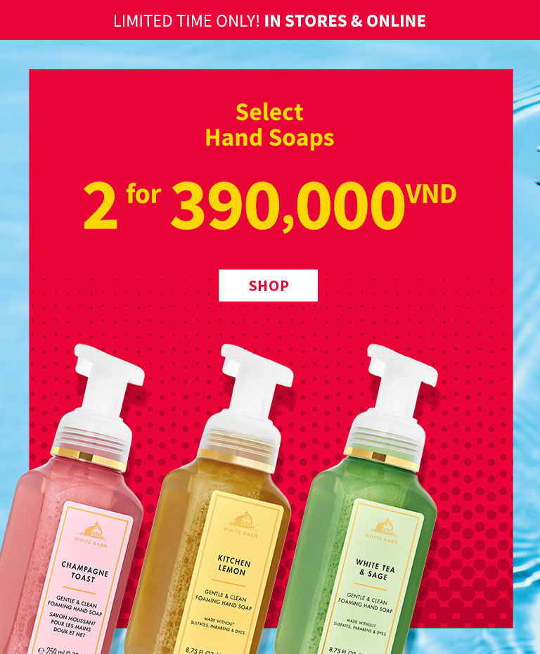 hand-soap-promotion