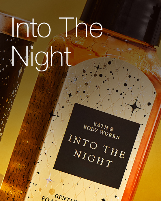 Into The Night 