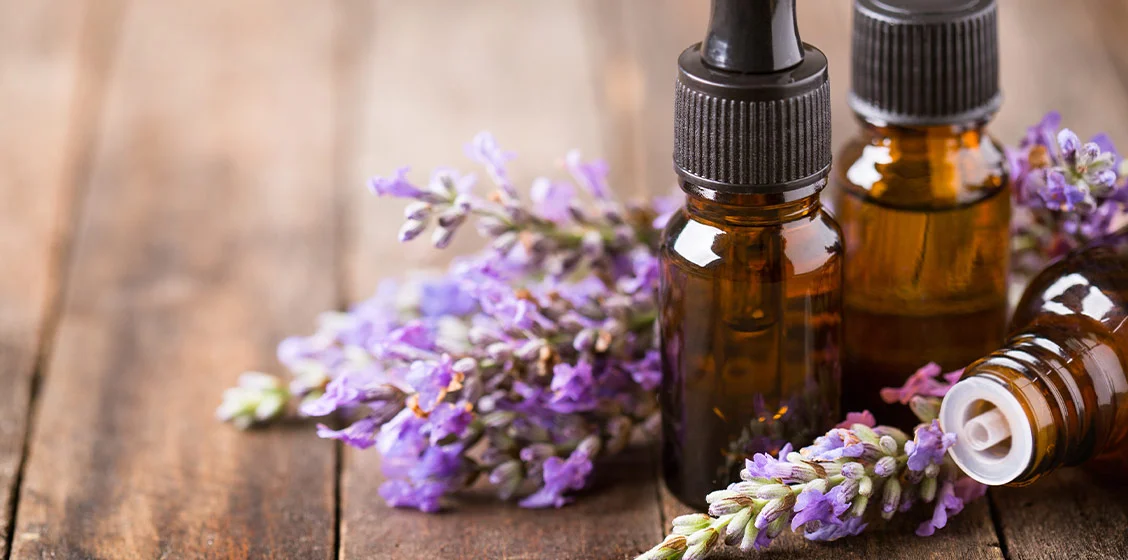 BƯỚC VÀO CÁNH ĐỒNG OẢI HƯƠNG