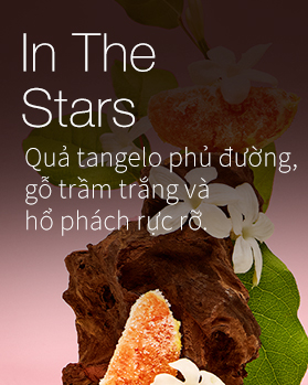 In The Stars 