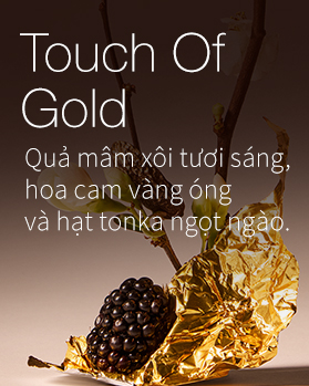 Touch Of Gold 