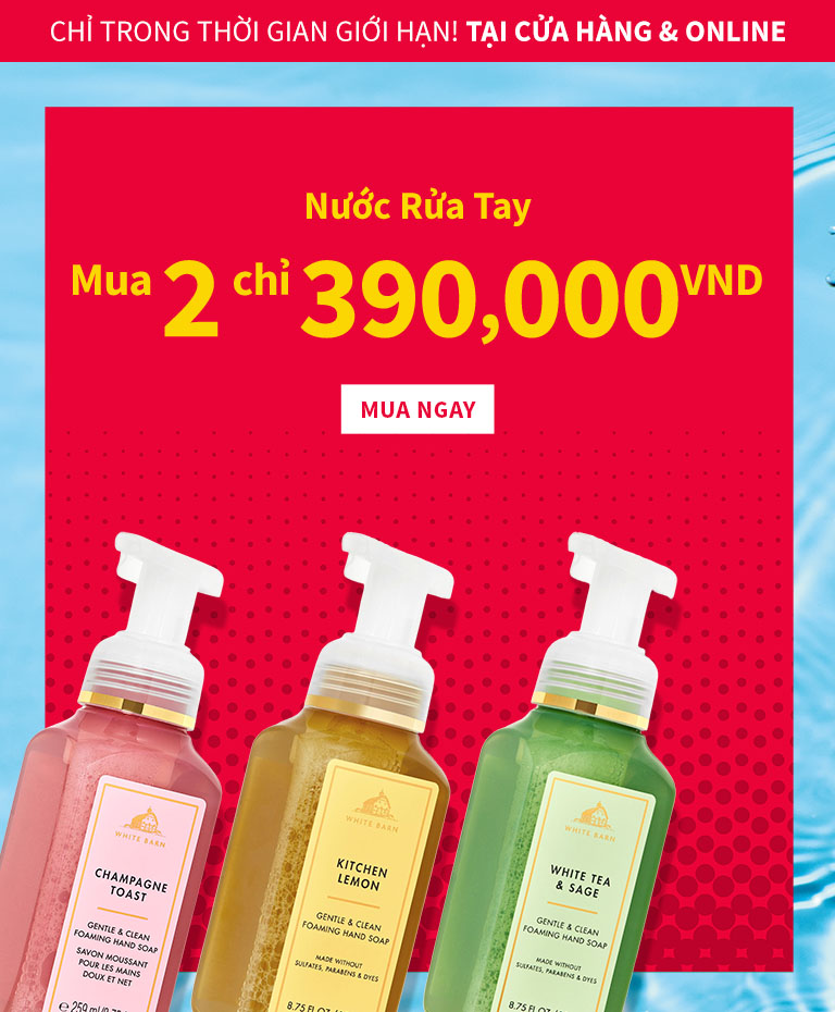 hand-soap-promotion